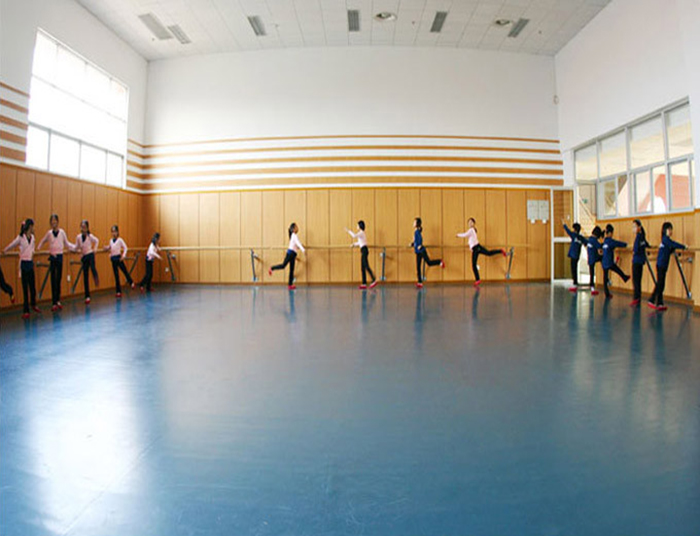 重庆学校舞蹈室PVC地胶
